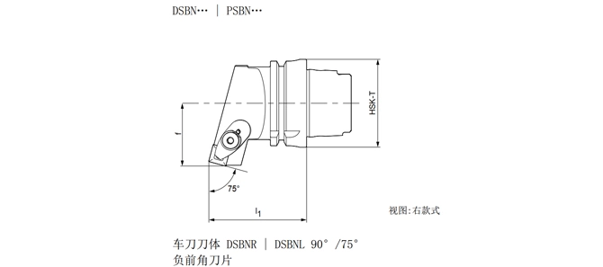 Specifica dello strumento di tornitura HSK-T DSBNR |