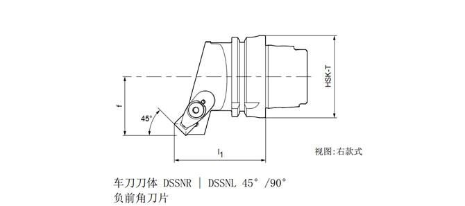 Specifica dello strumento di tornitura HSK T DSSNR |