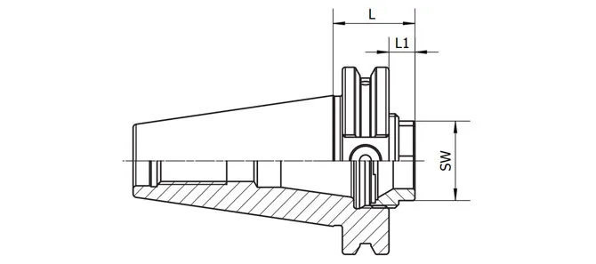 SPECIFICHE DIN 69871 PINZA ER CORTA