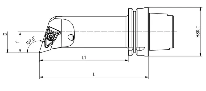 SPECIFICHE DELL'UTENSILE DI TORNITURA HSK-T DDQNR | DDQNL 107,5°/55°, LUNGO